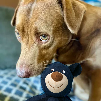 🐕Powerful Bear Pet Toy - Lasting Fun, Comfort.and Security for Your Dog