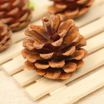 2" 20 Pcs Christmas 🐿️Pine Cones Decoration Vase Fillers for Thanksgiving DIY Crafts